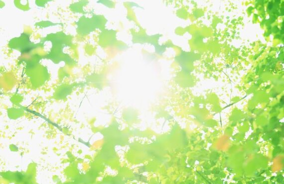 習志野市で高齢者向けのリハビリをお探しならまごて指圧治療